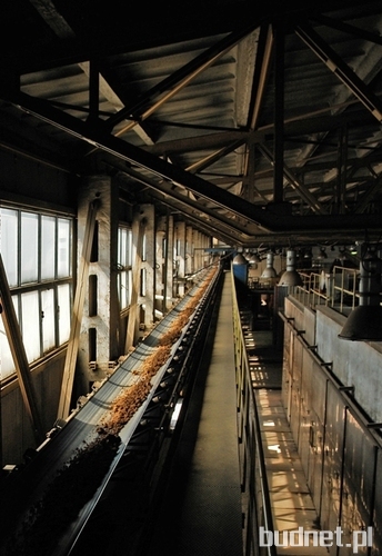 Produkcja cegieł klinkierowych Röben