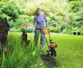 Jak pielęgnować trawnik jesienią? Narzędzia ułatwiające pielęgnację trawnika.