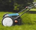 Kosiarki bębnowe tajemnicą angielskich trawników