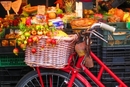 Rowerzysta spowodował kontuzję pieszego? Będzie płacił