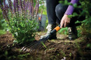 Jesienne sprzątanie ogrodu - jak ułatwić sobie sprzątanie liści