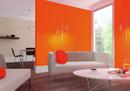 Soczysty pomarańczowy kolor w salone