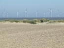 Green Energy Poland zbiera na wiatraki 