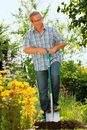 Jak ułatwić sobie jesienne prace porządkowe w ogrodzie?