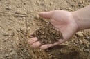 Odkażanie gleby: kiedy jest konieczne?