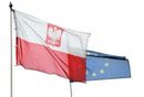 Polska marka wygrywa z zagranicznymi produktami