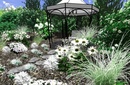 Ogród zaprojektowany w odcieniach bieli - anielska rabata 