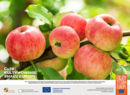  Kampania „CuTE: Kultywowanie smaku Europy” - umożliwiła Europejczykom odkrycie na nowo zrównoważonych i przyjaznych dla klimatu metod produkcji