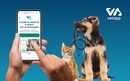 Pomoc w opiece nad zwierzętami domowymi w nowej aplikacji weterynaryjnej VetApp