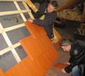 IMG_1408.zaj.jpg