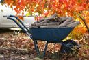 Nadchodzi czas sprzątania liści i gałęzi w ogrodzie - 3 sposoby, jak uprościć sobie prace 