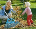 Jak ułatwić sobie jesienną pielęgnację trawnika? Narzędzia pomocne w jesiennej pielęgnacji.