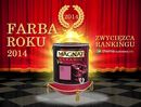 „FARBA ROKU 2014