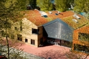 Zielone dachy - czy mogą pomóc w ochronie środowiska? 