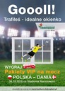 Konkurs: kibicuj i wygraj bilet na mecz Polska-Dania! 