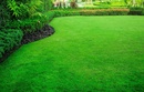 	 Kratka trawnikowa – dlaczego to doskonałe rozwiązanie?