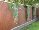 Wytrzymałe i oryginalne ogrodzenia i maty z wikliny - jak wykorzystać je w ogrodzie?