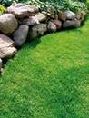 Zdrowy trawnik - nawozy mineralne