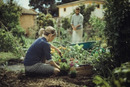5 niezbędnych narzędzi, które każdy miłośnik prac w ogrodzie powinien mieć