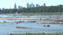 Operacja Czysta Rzeka - rozpoczyna się ogólnopolskie sprzątanie rzek 