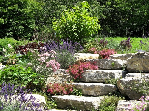 kamień w ogrodzie jako element dekoracyjny