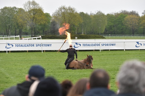 Ruszył 80. sezon wyścigów konnych na Torze Służewiec