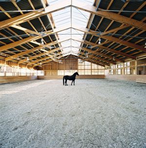 Pokrycia dachowe: płyty faliste z wł&oacute;knocementu, przeznaczone do krycia dach&oacute;w