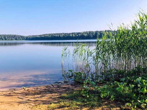 Susza, stres wodny i zmiany klimatu. Polska potrzebuje pilnej przebudowy gospodarki wodnej