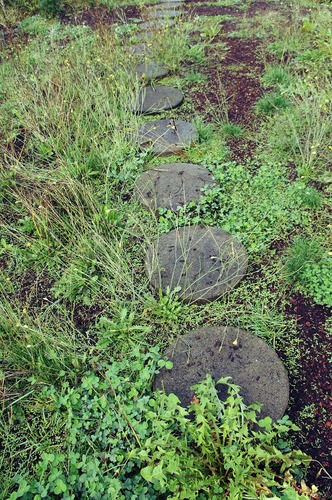 Wyjątkowe ścieżki ogrodowe z okrągłych płytek chodnikowych