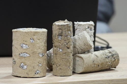 Jak uratować drzewa w miastach? Rozwiązanie daje technologia SVD Jak uratować drzewa w miastach? Rozwiązanie daje technologia SVD