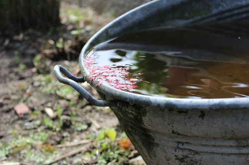 Woda ważny element w pielęgnacji ogrodu - jak ją gromadzić i ekonomicznie zużywać