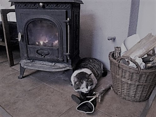 	 Dlaczego w piecu lepiej palić od g&oacute;ry? Dlaczego w piecu lepiej palić od g&oacute;ry?