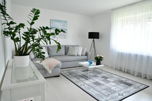 Dywany szare vs. dywany srebrne – który odcień lepiej sprawdzi się w Twoim domu?