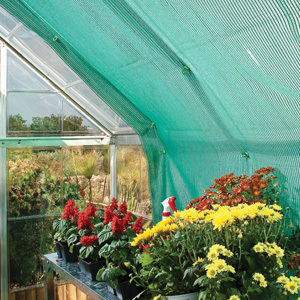 W czasie szczególnie słonecznych dni należy zacienić ścianki szklarni,  aby ochronić rośliny przed poparzeniami.