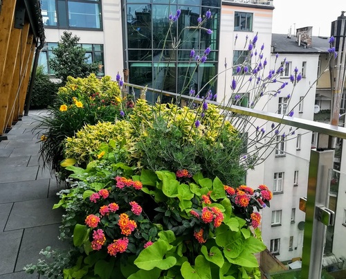 Jak przygotować balkon na letnie wieczory?