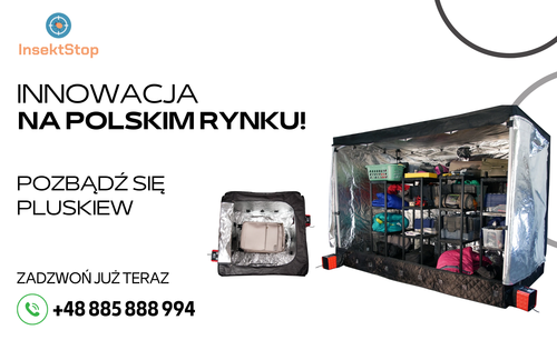 wygrzewanie pluskiew domowych insektstop wygrzewanie pluskiew domowych insektstop