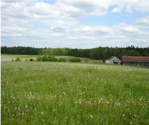 miejsca w Polsce najlepsze do inwestowania w grunty