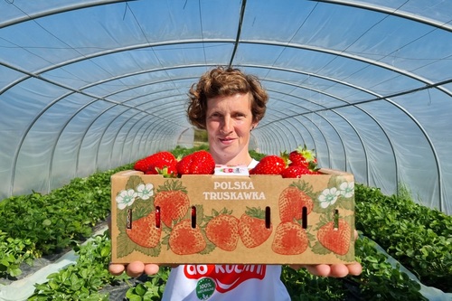 Polacy uwielbiają truskawki - rozpoczyna się truskawkowy maj