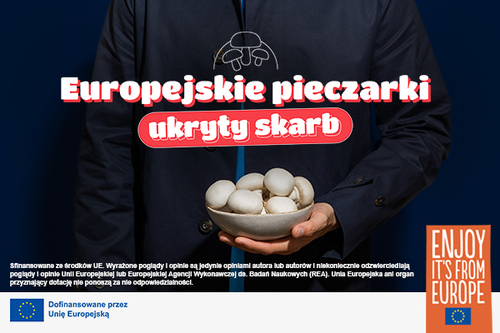 Trzeci rok kampanii „Europejskie Pieczarki Ukryty Skarb” – kulinarny sukces