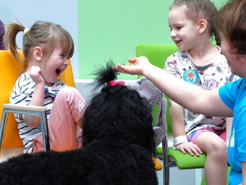 Razem dla zwierząt: adopcja, edukacja, terapia &ndash; Mars i TOZ w działaniu