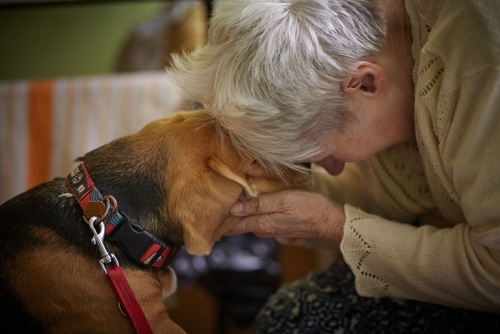 Razem dla zwierząt: adopcja, edukacja, terapia &ndash; Mars i TOZ w działaniu