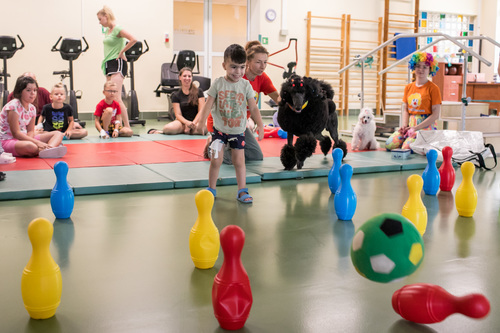 Razem dla zwierząt: adopcja, edukacja, terapia &ndash; Mars i TOZ w działaniu