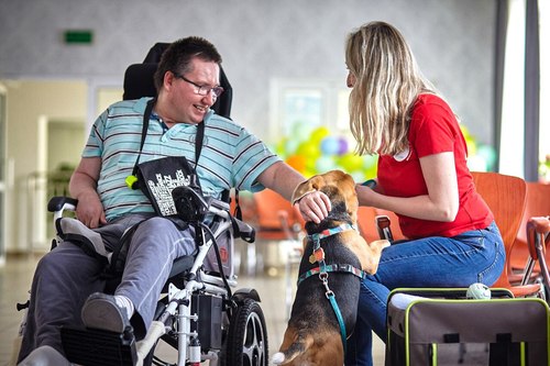 Razem dla zwierząt: adopcja, edukacja, terapia &ndash; Mars i TOZ w działaniu