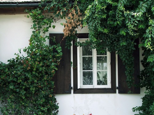 Farba, którą można zmienić kolor drewnianych okien lub drzwi