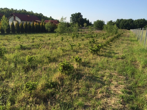 kredyty hipoteczne dla rolników po nowelizacji ustawy rolnej