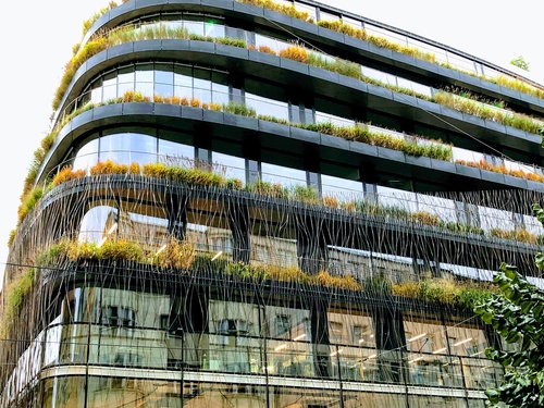 Elewacja pokryta zielenią - nowy ekologiczny trend w architekturze