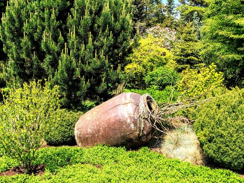 Szukasz kogoś do zajęcia się ogrodem? Wynajmij fachowców!