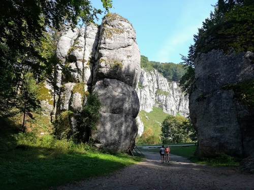 Dlaczego G&oacute;rka Narodowa to dziś jedno z najbardziej pożądanych miejsc do zamieszkania w Krakowie?