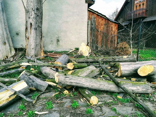 Już latem warto pomyśleć o drewnie do kominka i je dobrze sezonować