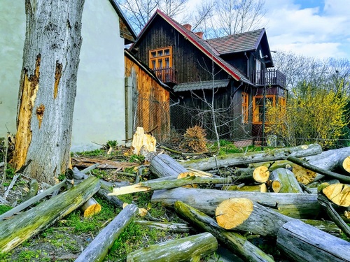 Już latem warto pomyśleć o drewnie do kominka i je dobrze sezonować